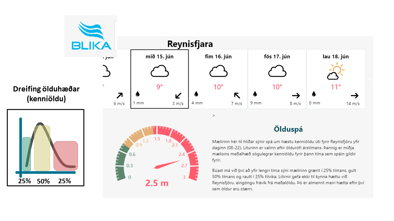 ÖLDUSPÁR FYRIR REYNISFJÖRU Á BLIKU