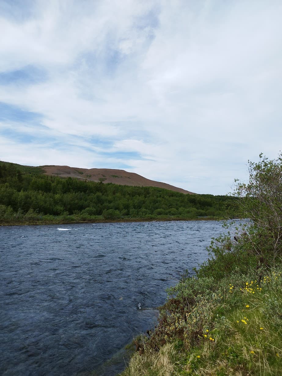 RANGAR VEÐURFRÉTTIR ERU LÍKA FALSFRÉTTIR
