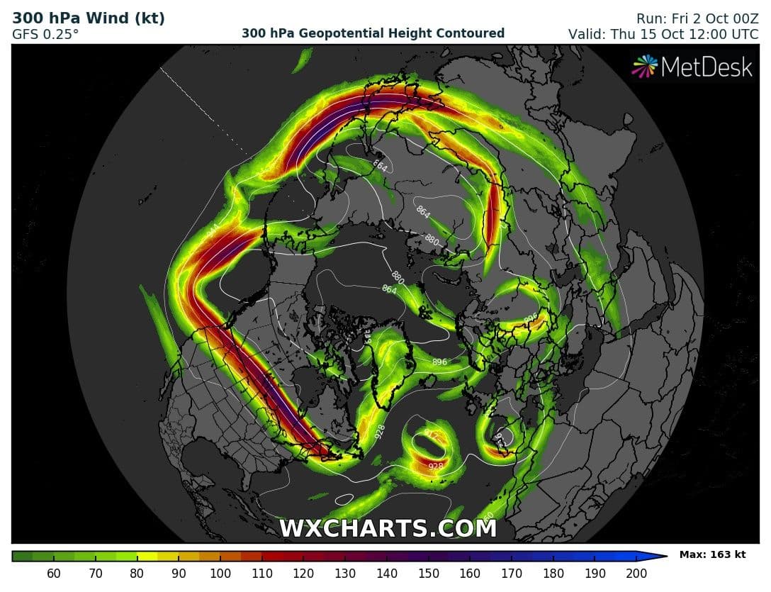 HRÆRIGRAUTUR UM MIÐJAN MÁNUÐ
